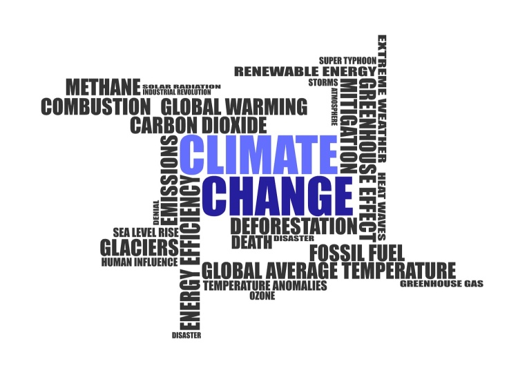 CBOS: 77 proc. Polaków postrzega zmiany klimatu jako zagrożenie