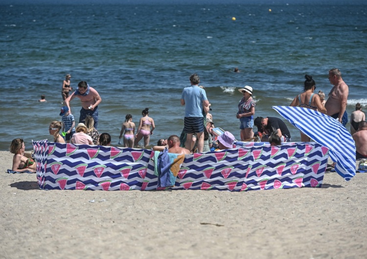 Plaża, zdjęcie ilustracyjne Atak na plaży nudystów. 