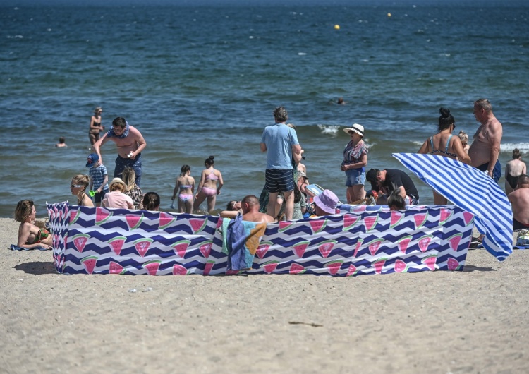 Plaża, zdjęcie ilustracyjne Atak na plaży nudystów.