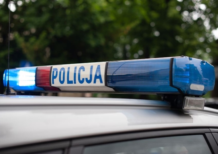 Zdjęcie ilustracyjne Tragedia na Dolnym Śląsku. Pięciolatka pogryziona przez psa. W ciężkim stanie trafiła do szpitala