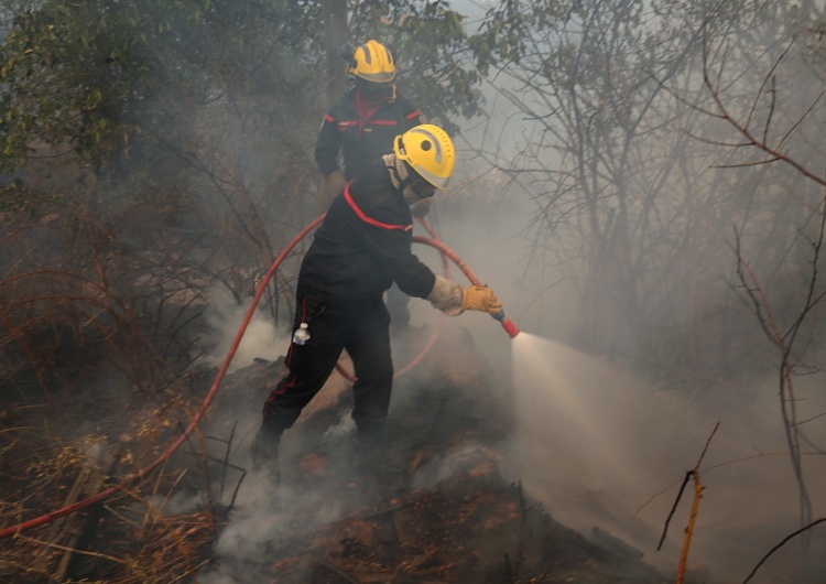 Strażacy walczący z pożarami w okolicach Aten. Polscy strażacy pojadą do Grecji. Pomogą walczyć z pożarami