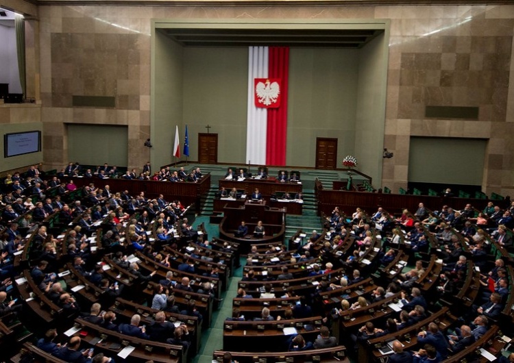  [SONDAŻ] PiS umacnia się na prowadzeniu. Niewielki spadek poparcia dla KO