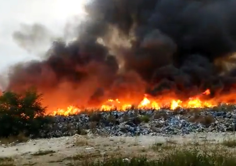  [VIDEO] Pożar nielegalnego składowiska odpadów na Dolnym Śląsku. Strażacy walczą z ogniem