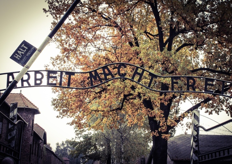 Prezydent Austrii odwiedzi Auschwitz. Spotka się też z prezydentem Dudą i premierem