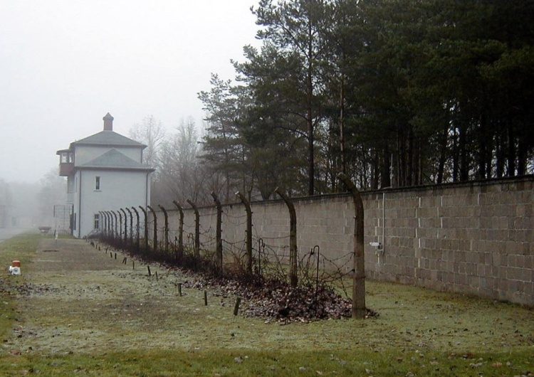 Obóz Sachsenhausen  Niemcy: Rusza proces 100-letniego strażnika SS z obozu koncentracyjnego. 