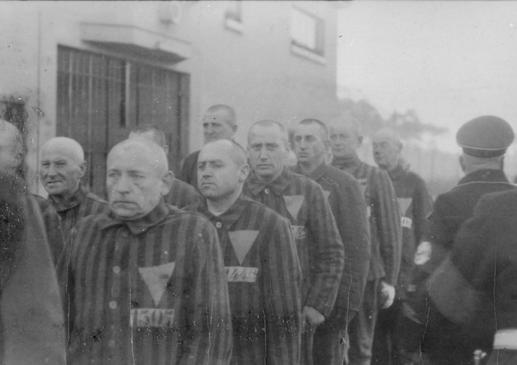 Więźniowie Sachsenhausen Niemcy. 100-letni strażnik niemieckiego obozu koncentracyjnego twierdzi, że nie wiedział, co się tam działo
