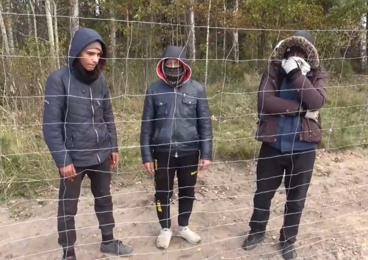  [VIDEO] Migranci przyznają, że informacje o tym jak dostać się do Europy otrzymali m. in. w Rosji