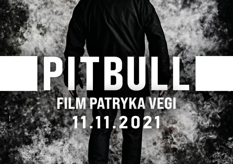 Pitbull Powrót legendy! Zobacz plakat i zwiastun PITBULLA (11 listopada w kinach)