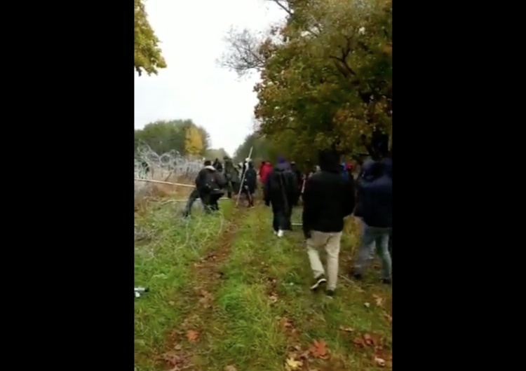  [video] Niszczenie płotu przez osoby na granicy. Min. Błaszczak: 