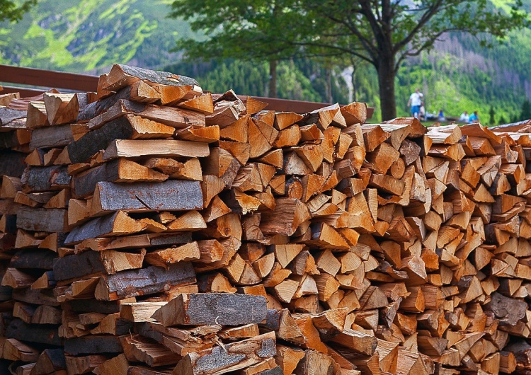  Przez wysokie ceny gazu Holendrzy kupują coraz więcej drewna na opał