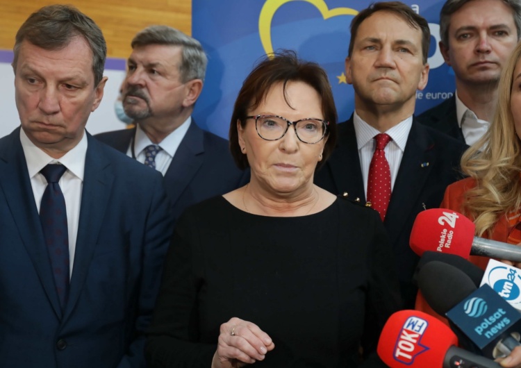 europosłowie PO w Strasburgu B. działaczka Platformy: