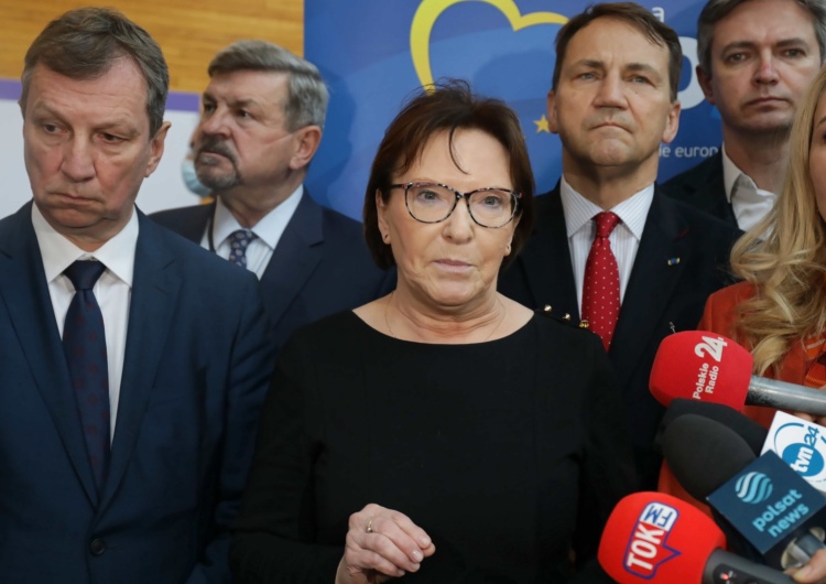 europosłowie PO w Strasburgu B. działaczka Platformy: 