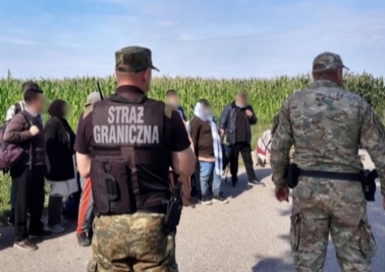 Rośnie liczba nielegalnych imigrantów. Straż Graniczna publikuje najnowsze dane