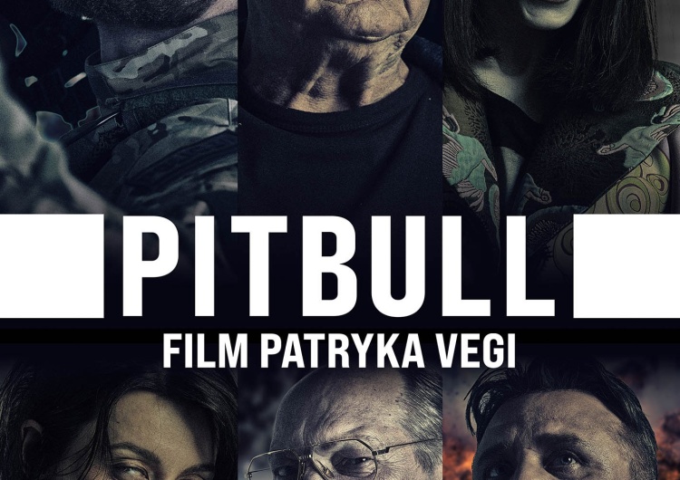 Pitbull Gebels powraca na plakacie PITBULLA (11 listopada w kinach)
