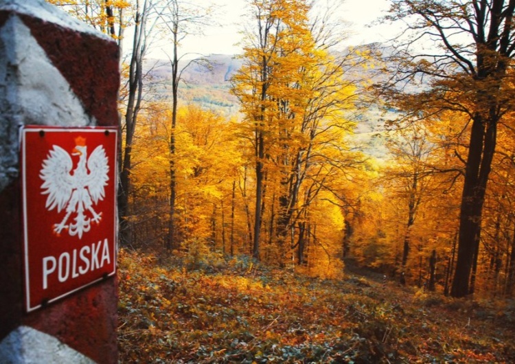 Granica Polski Ponad pół tysiąca prób nielegalnego przekroczenia granicy w ciągu ostatniej doby