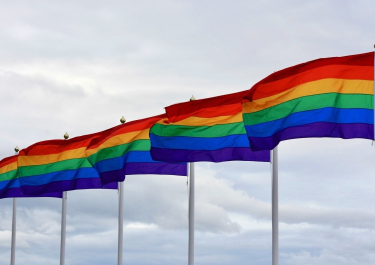 Flagi ruchów LGBT Ziemkiewicz 