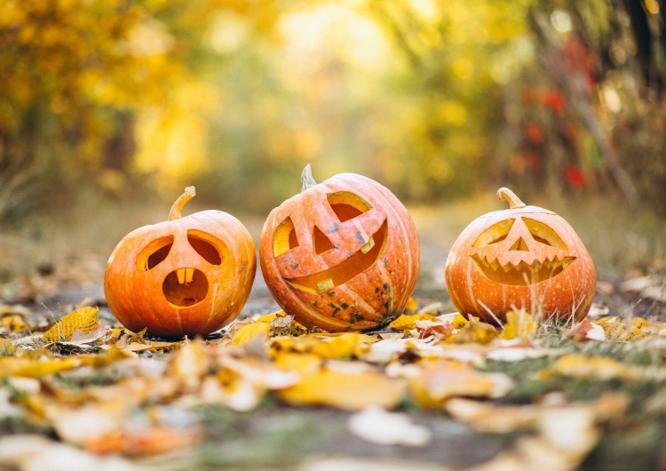  Prawy Sierpowy: Halloween czy Wszystkich Świętych?