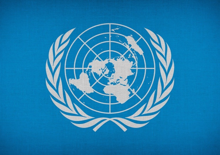  Genderowe postulaty w raporcie ONZ