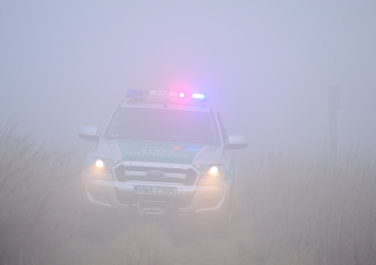 Patrol na granicy Jak wygląda procedura po nielegalnym przekroczeniu granicy? Straż Graniczna wyjaśnia