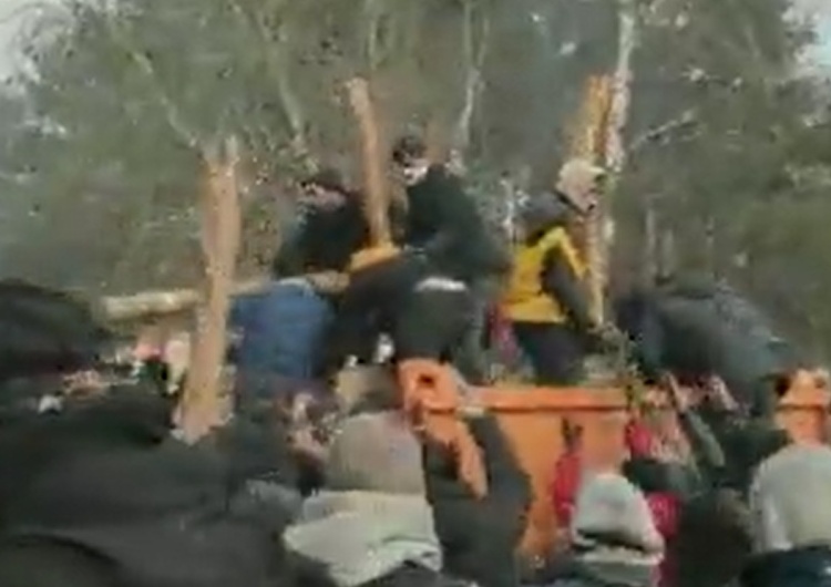 Rozładunek bali drewna dla imigrantów „Dostawa drewna dla migrantów”. Szokujące nagranie z polsko-białoruskiej granicy [WIDEO]