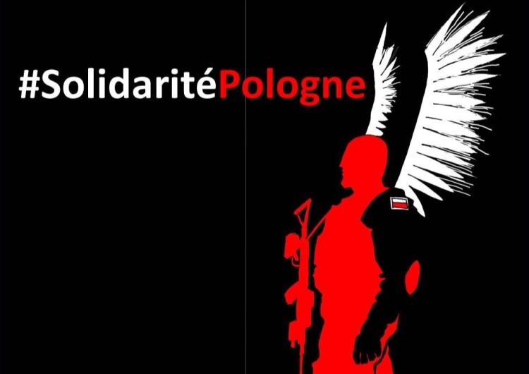 grafika wykorzystywana przez francuskich internatów na podstawie grafiki Cezarego Krysztopy #SolidaritePologne - Akcja wsparcia dla Polski na francuskojęzycznym Twitterze