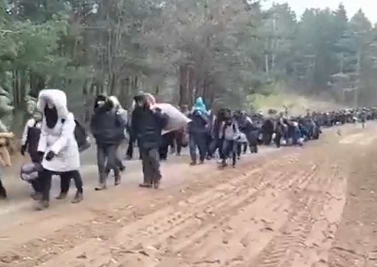  Ogromna fala migrantów z Białorusi zbliża się do Polski. W sieci pojawiły się nagrania [VIDEO]