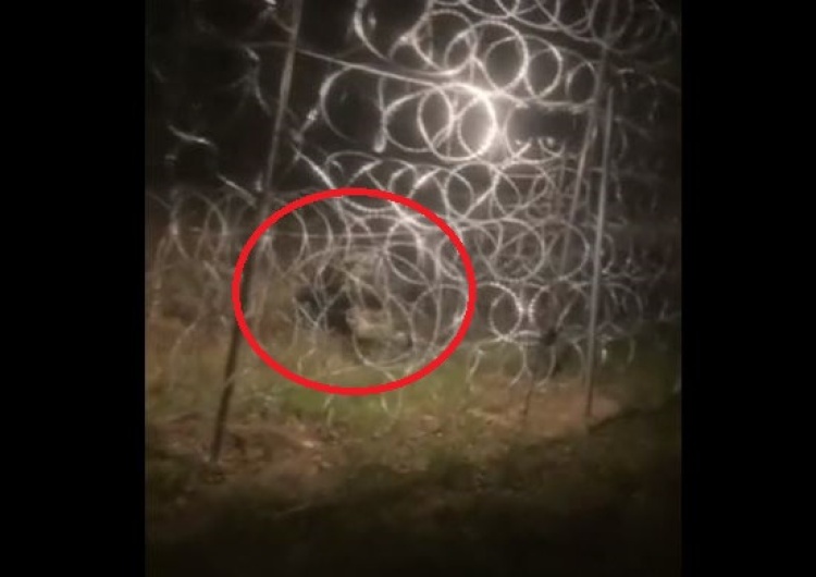  [video] Tak białoruskie służby niszczą nocą ogrodzenie na polskiej granicy. MON publikuje film
