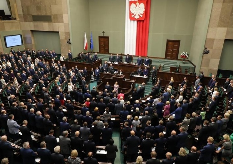 Rafał Zambrzycki Najnowszy sondaż IBRiS: PiS miażdży opozycję, kolejny wzrost notowań partii rządzącej