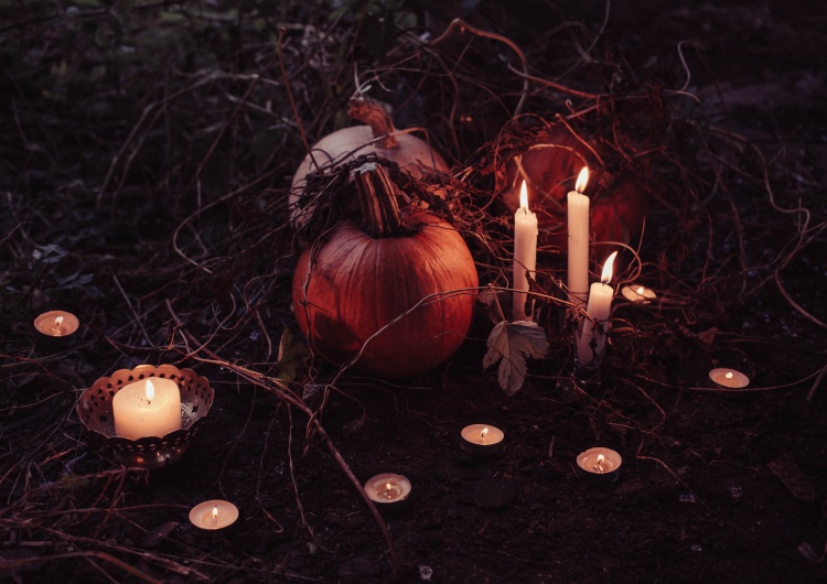 Aleksandra Jakubiak: Kpicie z zagrożeń niesionych przez Halloween? Weźcie odpowiedzialność za ofiary