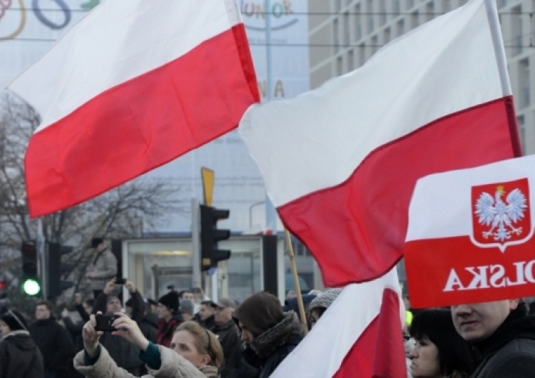 T. Gutry "Masowa skala fake newsów po Święcie Niepodległości zagraża dobremu imieniu Polski. Trzeba działać"