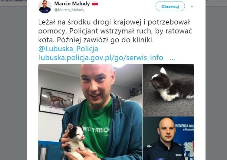  Policjant wstrzymał ruch na Drodze Krajowej, by ratować małego kotka. Internauci poruszeni