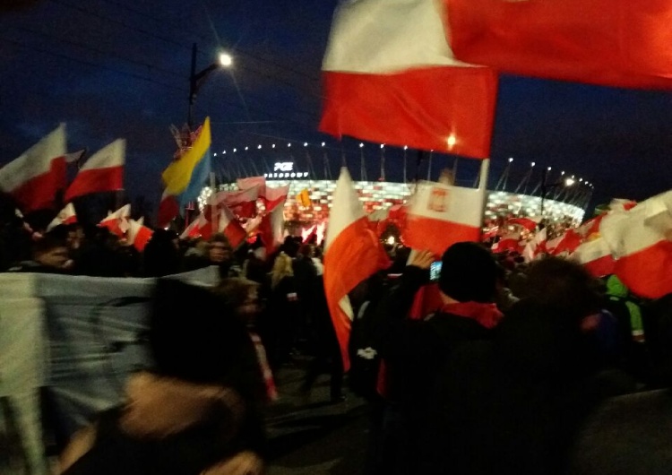 Rosemann: Światowa sieć opluwaczy