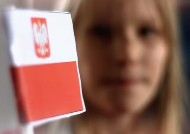Waldemar Biniecki: Czas na profesjonalne działanie w aspekcie obrażania Polaków