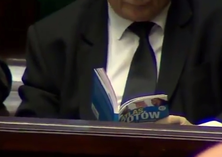 "Atlas Kotów. Dzikie i domowe". Zdjęcie Jarosława Kaczyńskiego z obrad Sejmu zdobyło sieć