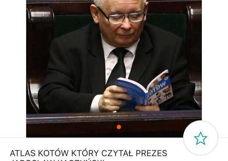  "Atlas kotów" czytany przez Jarosława Kaczyńskiego wystawiony na Allegro w astronomicznej cenie