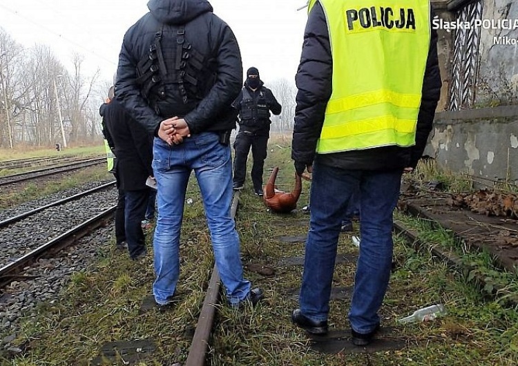  To nie był wypadek: policja rozwikłała zagadkę śmierci młodego człowieka na torach kolejowych