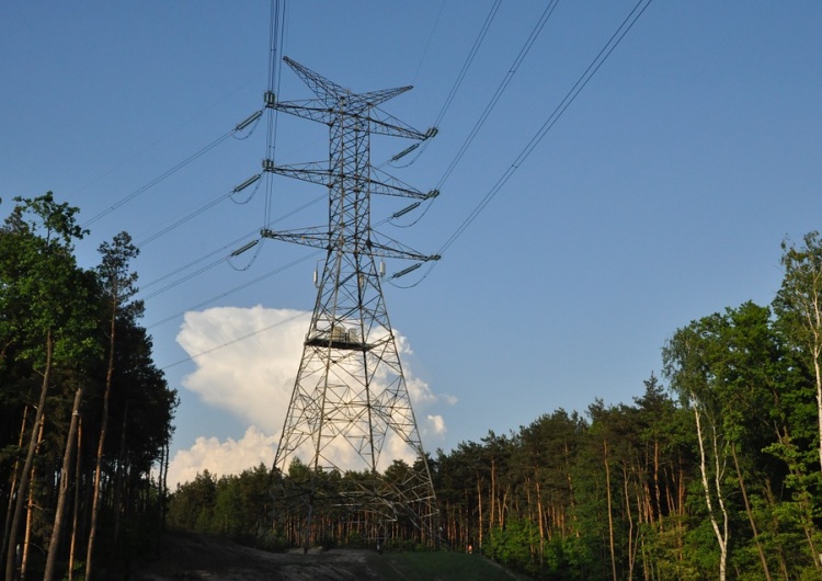  Repolonizacja gdańskiej energetyki. "Wielkim błędem była wyprzedaż tak strategicznego sektora"