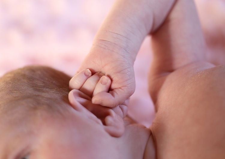 Tuż przed świętami kilkudniową dziewczynkę znaleziono w oknie życia