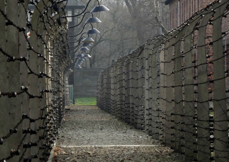  Czy w muzeum KL Auschwitz fałszuje się historię? Wstrząsający list otwarty do Piotra Glińskiego
