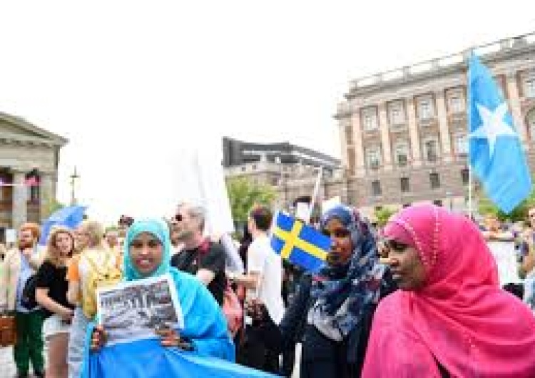  Szwecja wyda 8 mln koron na zachęcenie imigrantów do udziału w wyborach
