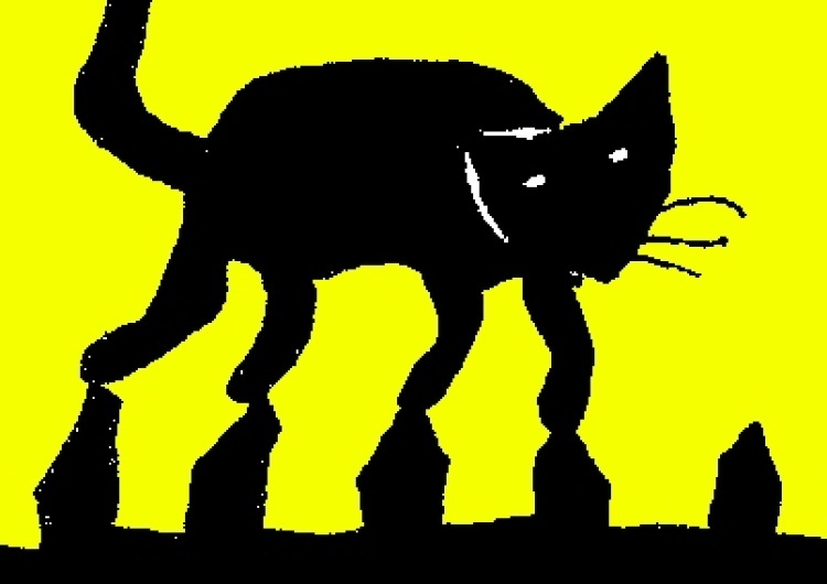  [Kliknij aby zobaczyć całość] Nowy rysunek Krysztopy: Wlazł kotek na płotek