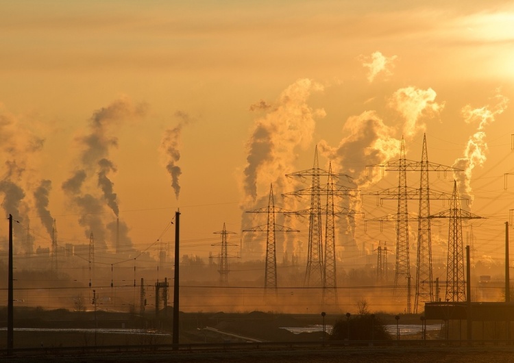 Paweł Janowski: Smog zdrowy i niezdrowy