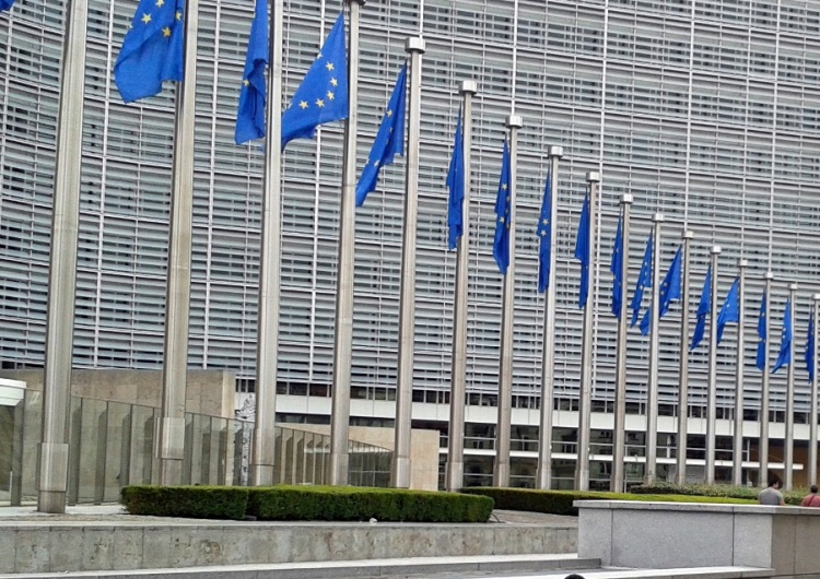 Konsultacje społeczne z przedstawicielami Komisji Europejskiej