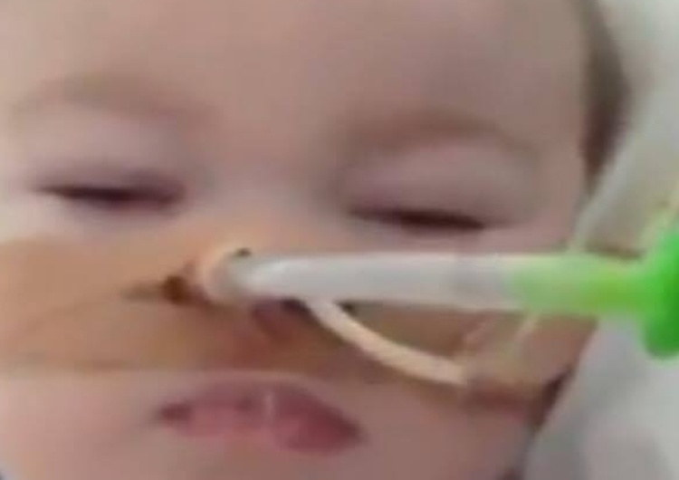  [Wideo] Polska lekarka Alfiego Evansa: To nie jest umierające dziecko!