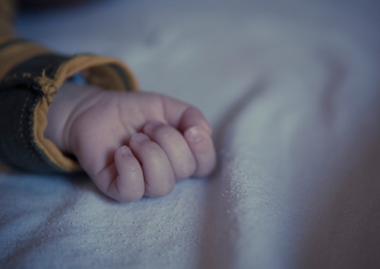 Aleksandra Jakubiak: Alfie. Dziecko, którego świadectwo życia wstrząsnęło fundamentem ziemi