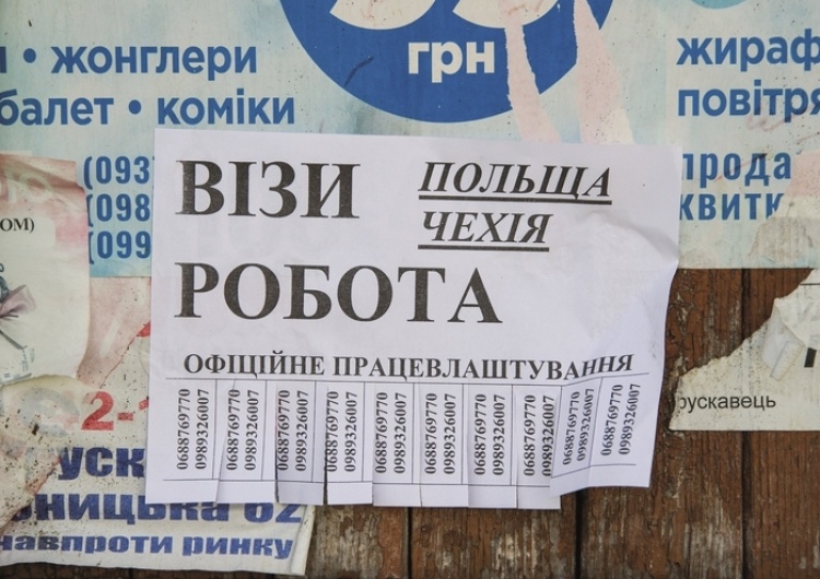 Nie straszyć Ukraińcami! Imigracja ze wschodu będzie niebawem największym wyzwaniem dla polskiej polityki