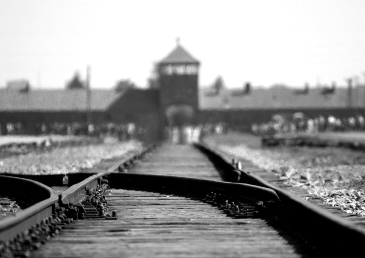  Marcin Brixen: Eurowizja i australijski obóz zagłady w Auschwitz