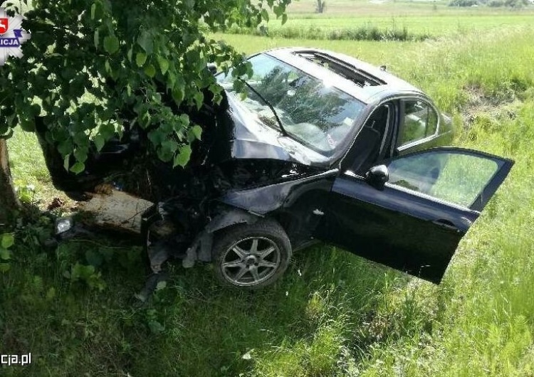Zatrzymany po wypadku Tanzańczyk twierdzi, że na drogę wtargnęła... antylopa