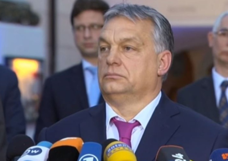 Marek Jan Chodakiewicz: Briefing u Węgrów