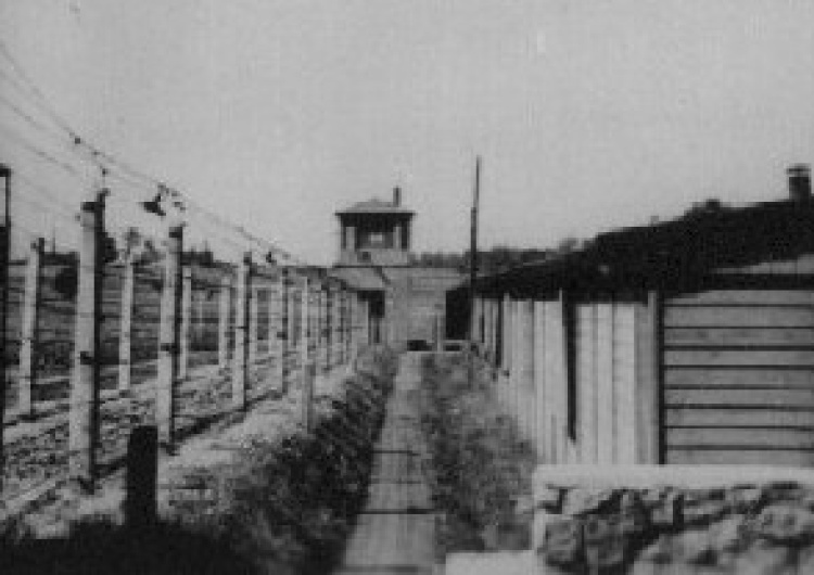  Panic: Suedeutsche Zeitung zamieszcza informację o obchodach w Dachau 5.06. Bez Polek...